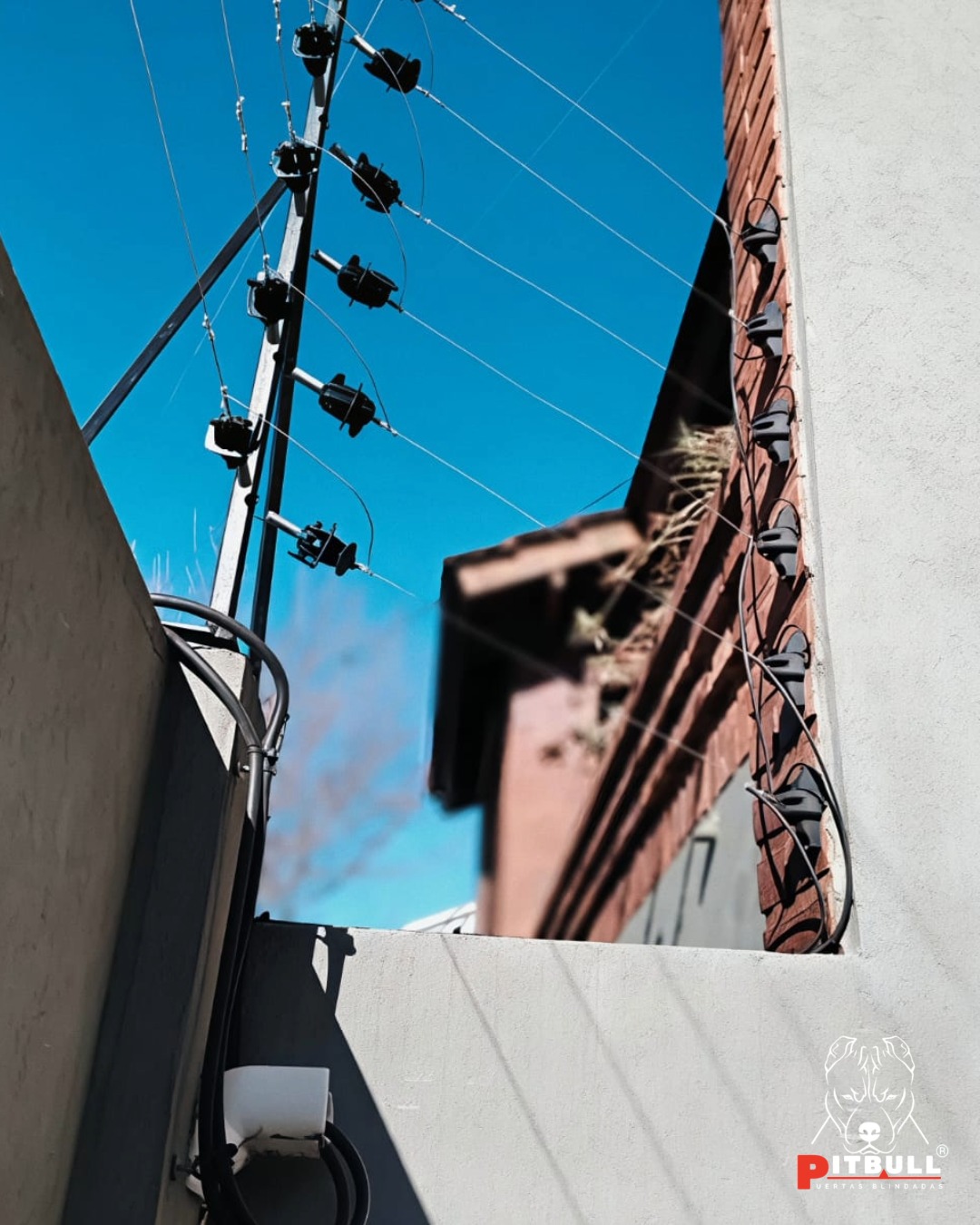 CERCAS ELÉCTRICAS 1